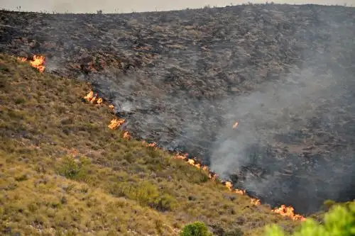 12 muertos y 8 heridos en un incendio en el sur de España, el más grave hasta la fecha