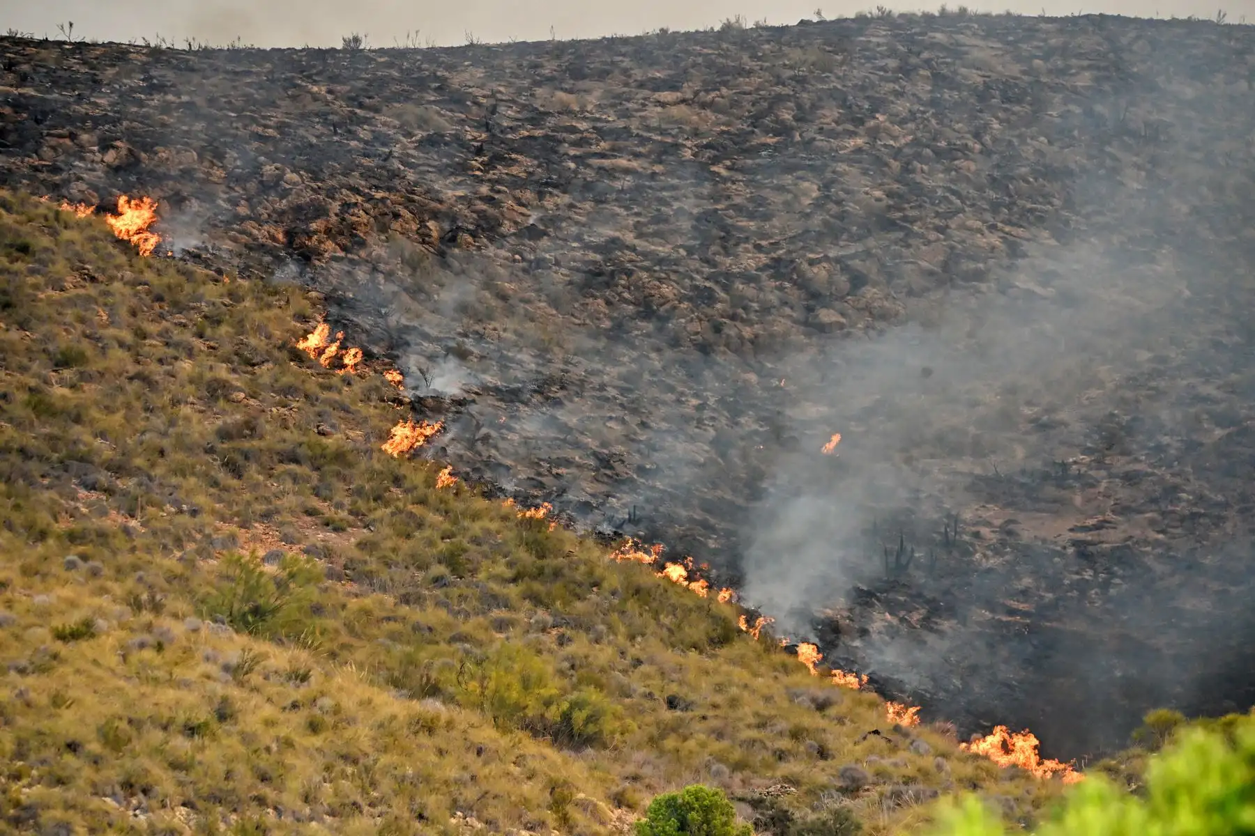 Varios focos en el incendio forestal declarado en Los Gallardos, Almería, con un balance provisional de 12 personas fallecidas, ocho heridas y 19 desaparecidas. Foto: EFE