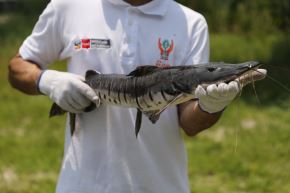 Especialista de Brasil, Bolivia, Ecuador y Perú participaron en la segunda Semana Aguas Amazónicas. Foto: IIAP/Difusión.