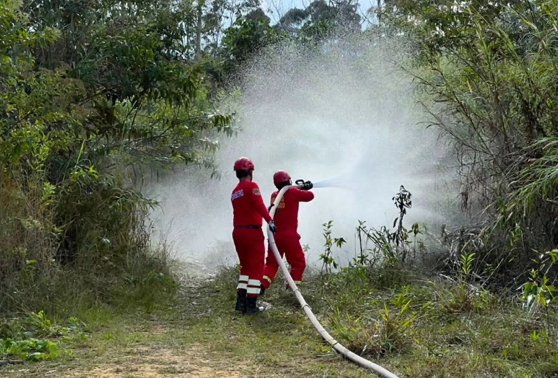 Pasco: realizan simulacros frente a incendios forestales en Villa Rica y Chacayán