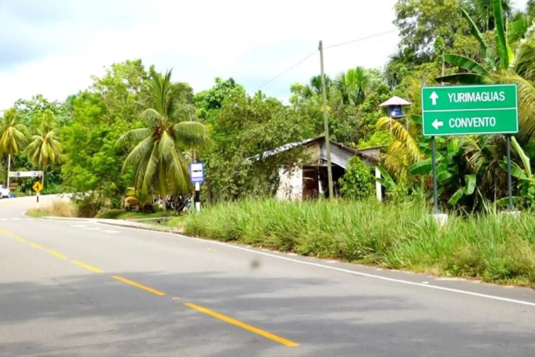 San Martín: adjudican histórica obra vial de S/76 millones en el valle del Pintuyacu
