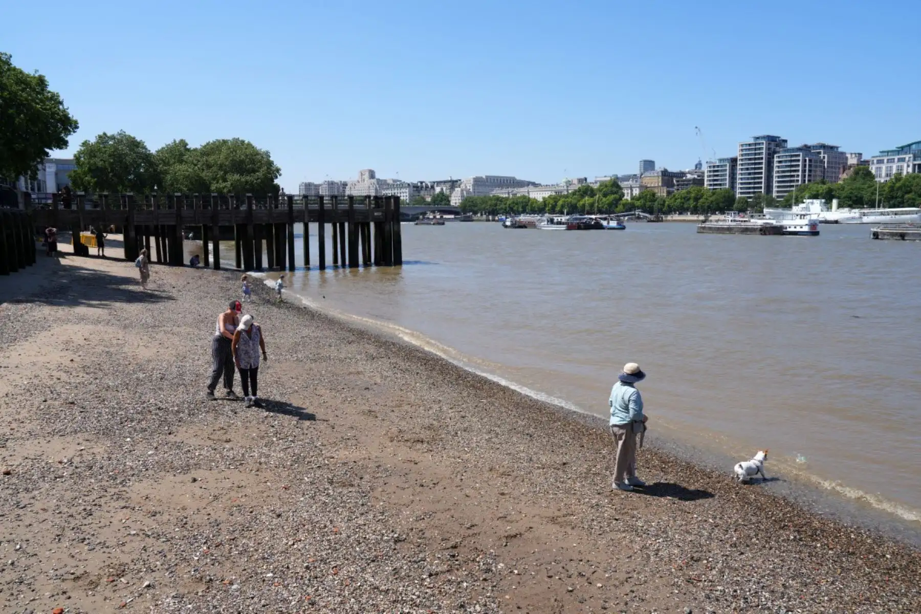 Varias personas caminan por el lecho del río Támesis, en el centro de Londres, mientras la capital británica continúa experimentando altas temperaturas. Foto: AFP