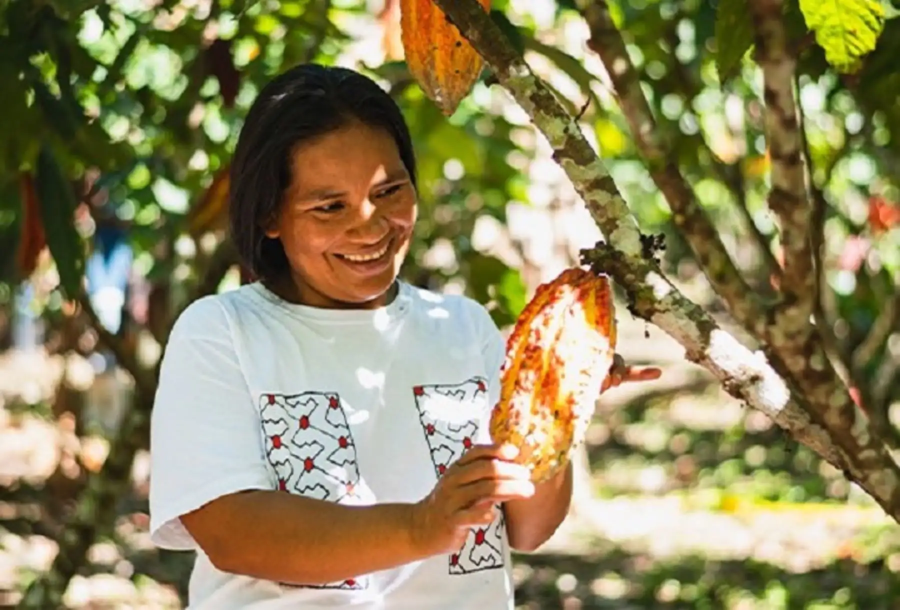 Salón del Cacao: presentarán 12 iniciativas que conservan 260,000 ha de bosques amazónicos