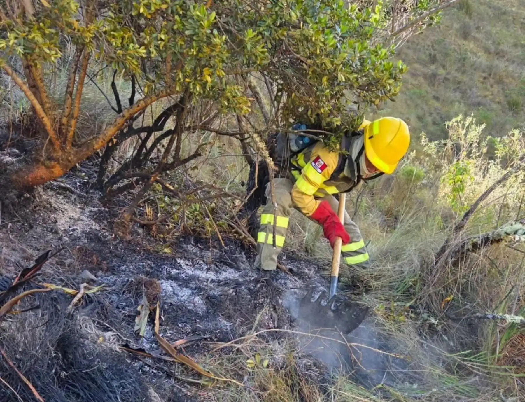 Sofocan incendio forestal reportado en las inmediaciones del Parque Nacional Huascarán
