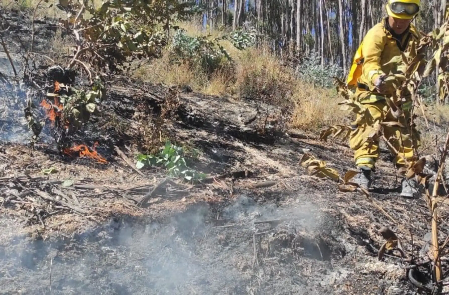 Incendio forestal en Sacsayhuamán no dañó los muros incas del parque arqueológico de Cusco