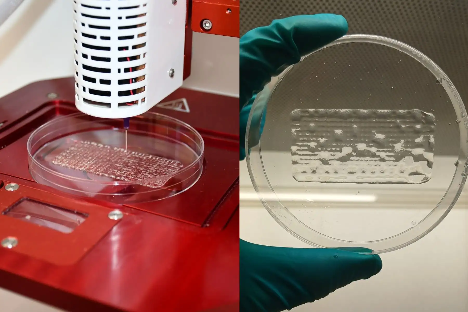 Científicos trabajan en parche bioimpreso en 3D para tratar heridas crónicas en Perú