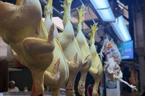 El Senasa protege la sanidad avícola y la seguridad alimentaria del país. Foto: ANDINA