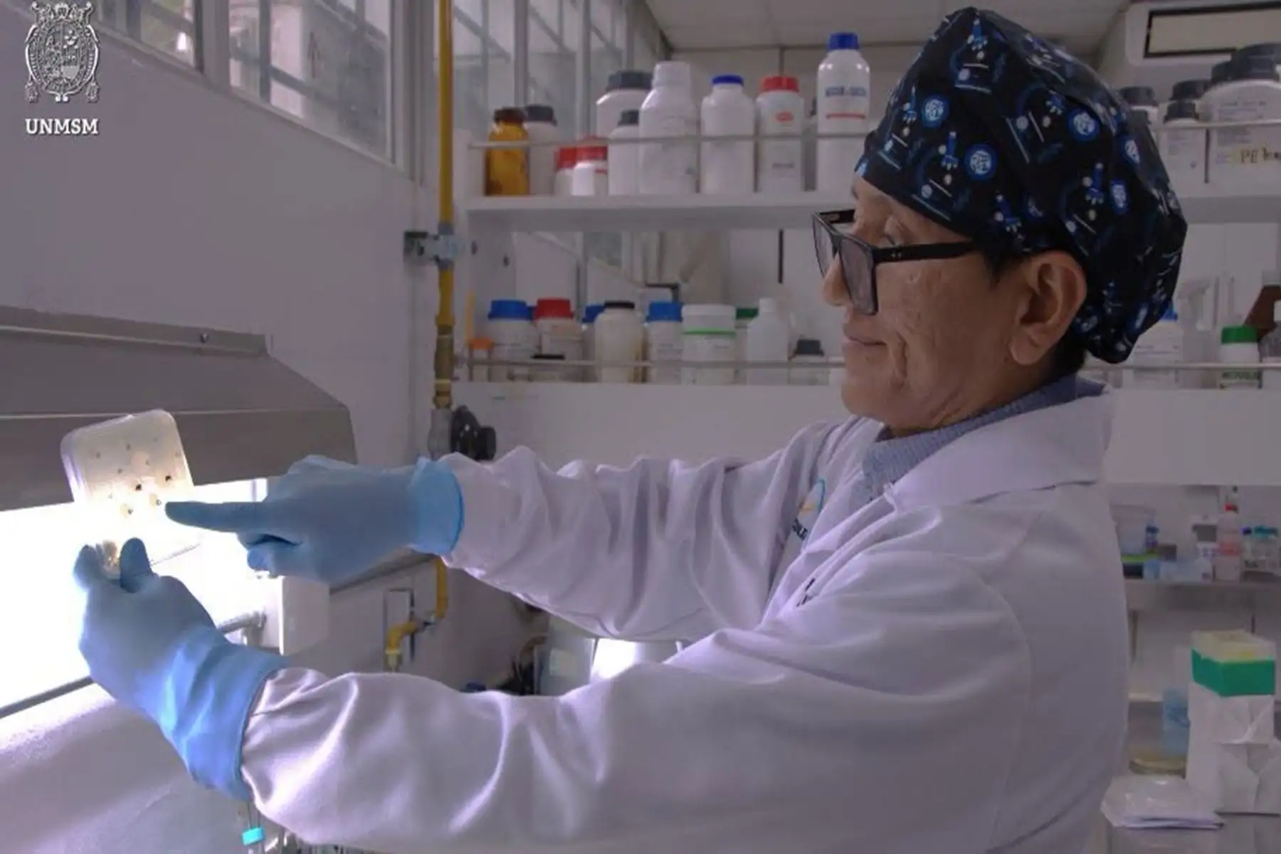 San Marcos: desarrollan investigación que busca combatir la resistencia antimicrobiana