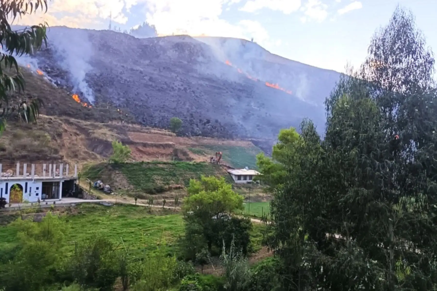 Cajamarca: bomberos y Ejército controlan incendio forestal en distrito de Llacanora