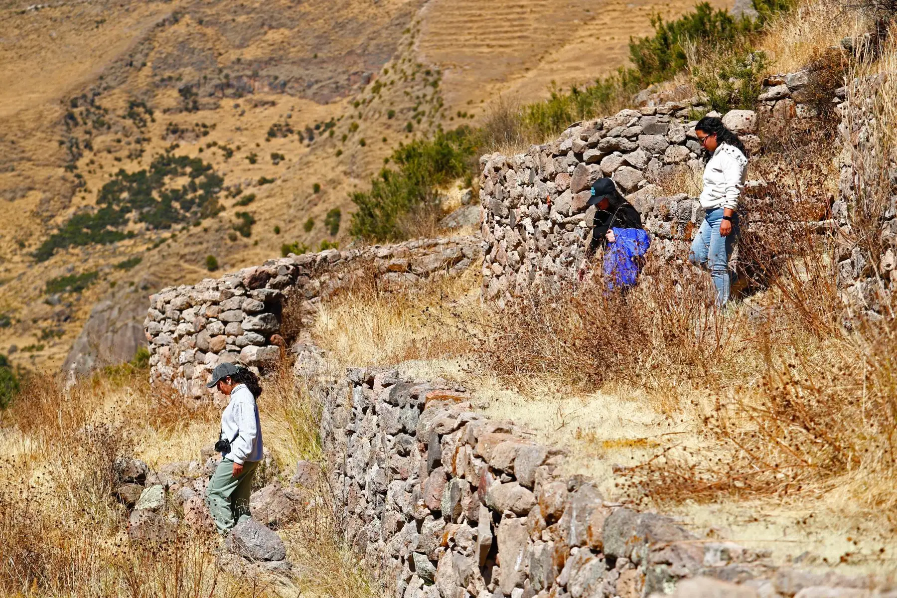 Recorriendo el sitio arqueológico de Chichaqasa de Apurimac a plena luz del sol, se pueden encontrar trozos de cerámicos y demás vestigios culturales de la cultura chanca y de los imperios Wari e Inca. Debido a que el complejo estuvo descuidado durante varios años, los vecinos de la zona, del distrito de Pampachiri, se organizaron en el año 2022 y decidieron restaurarlo a su manera y volverlo más accesible al turista. Foto: ANDINA/Daniel Bracamonte