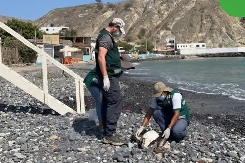 Entre los diversos impactos negativos del fenómeno El Niño costero en el Perú destaca la afectación a la fauna silvestre. Fotos: Serfor