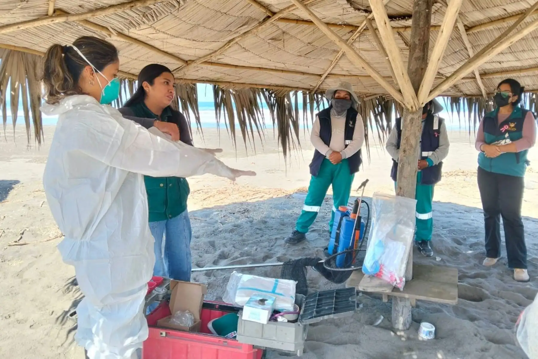 Serfor promueve respeto a fauna marina silvestre ante cambios climáticos en el litoral