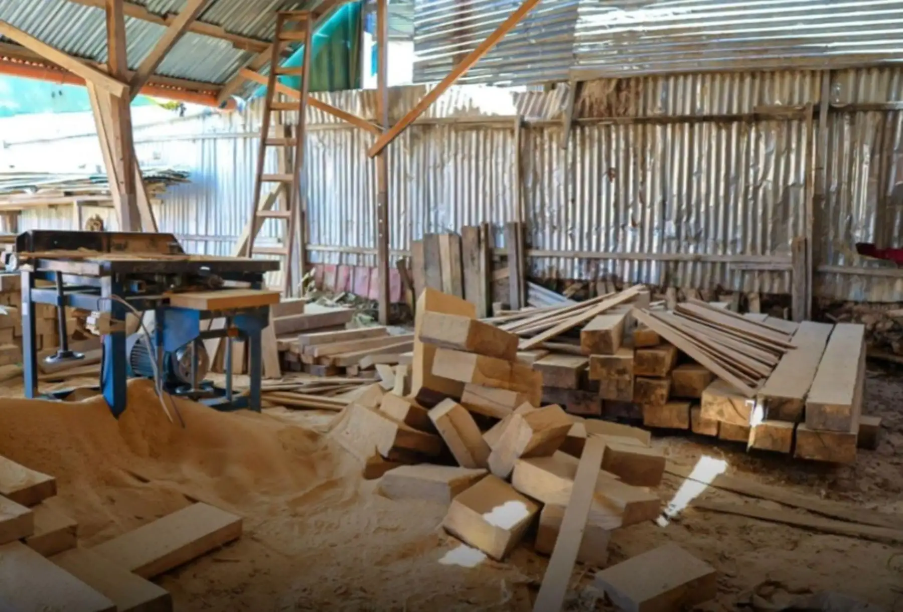 Ucayali: intervienen aserradero clandestino con madera de árbol capirona
