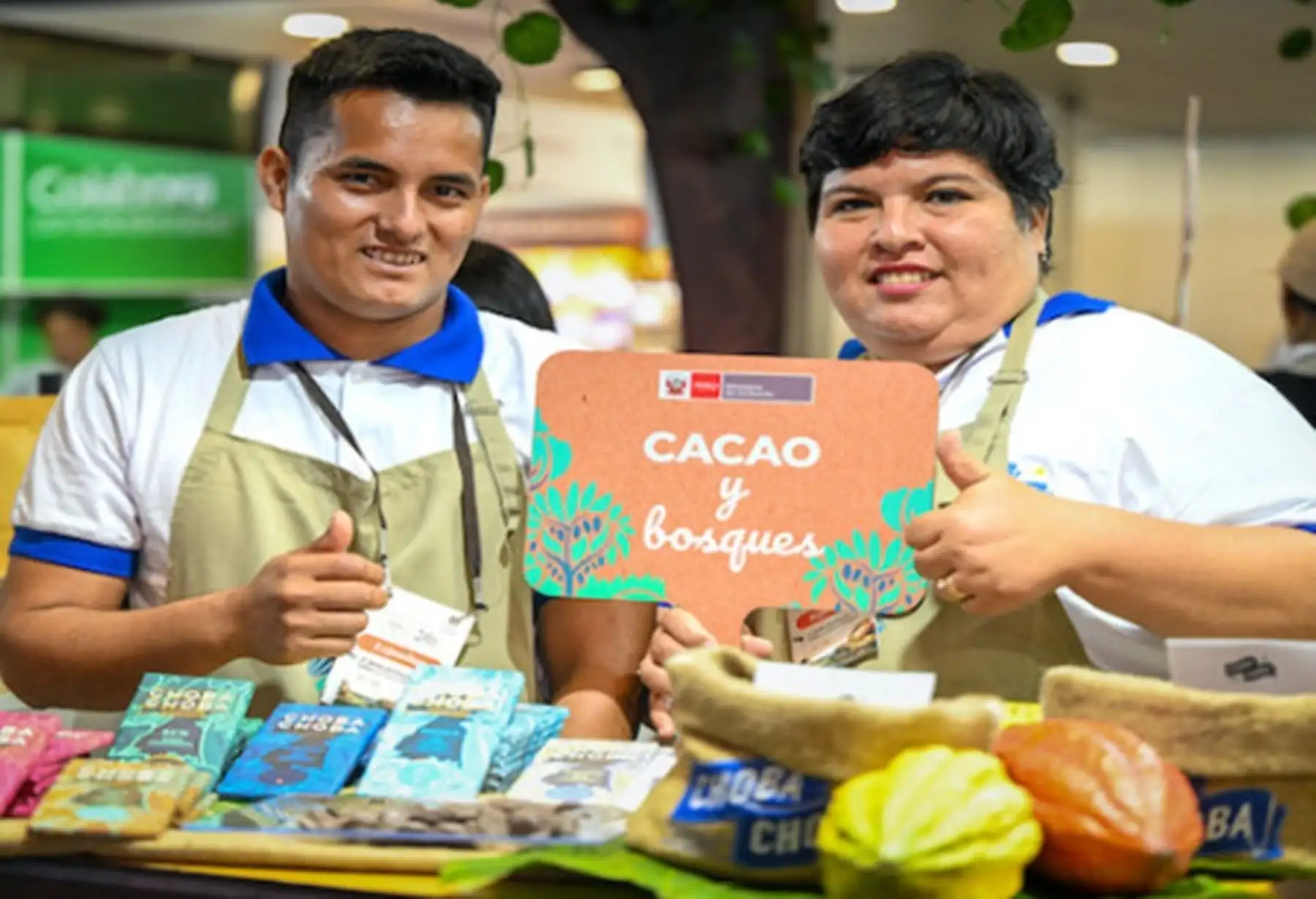 Cacao peruano impulsa conservación de bosques y desarrollo de comunidades amazónicas