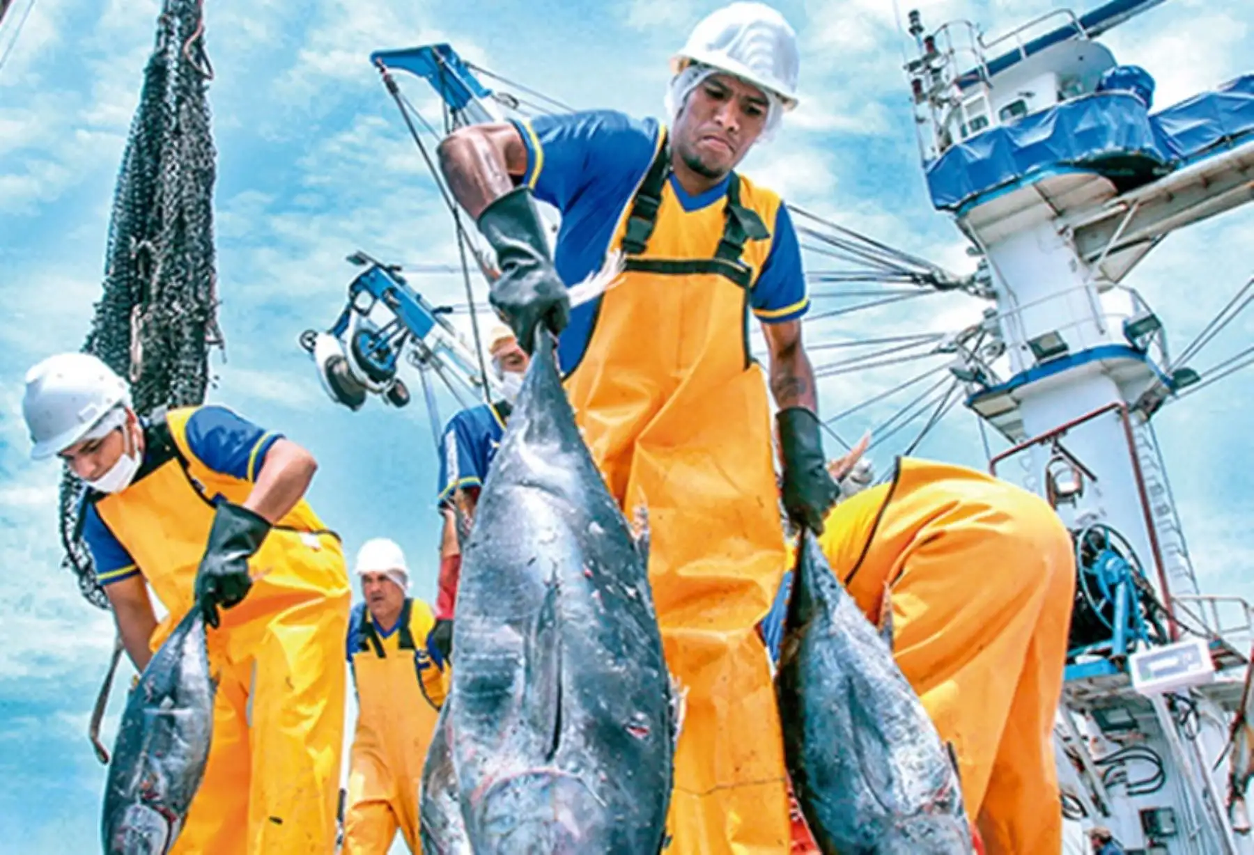 Tacna: Sanipes impulsa formalización de pescadores entregando habilitaciones sanitarias