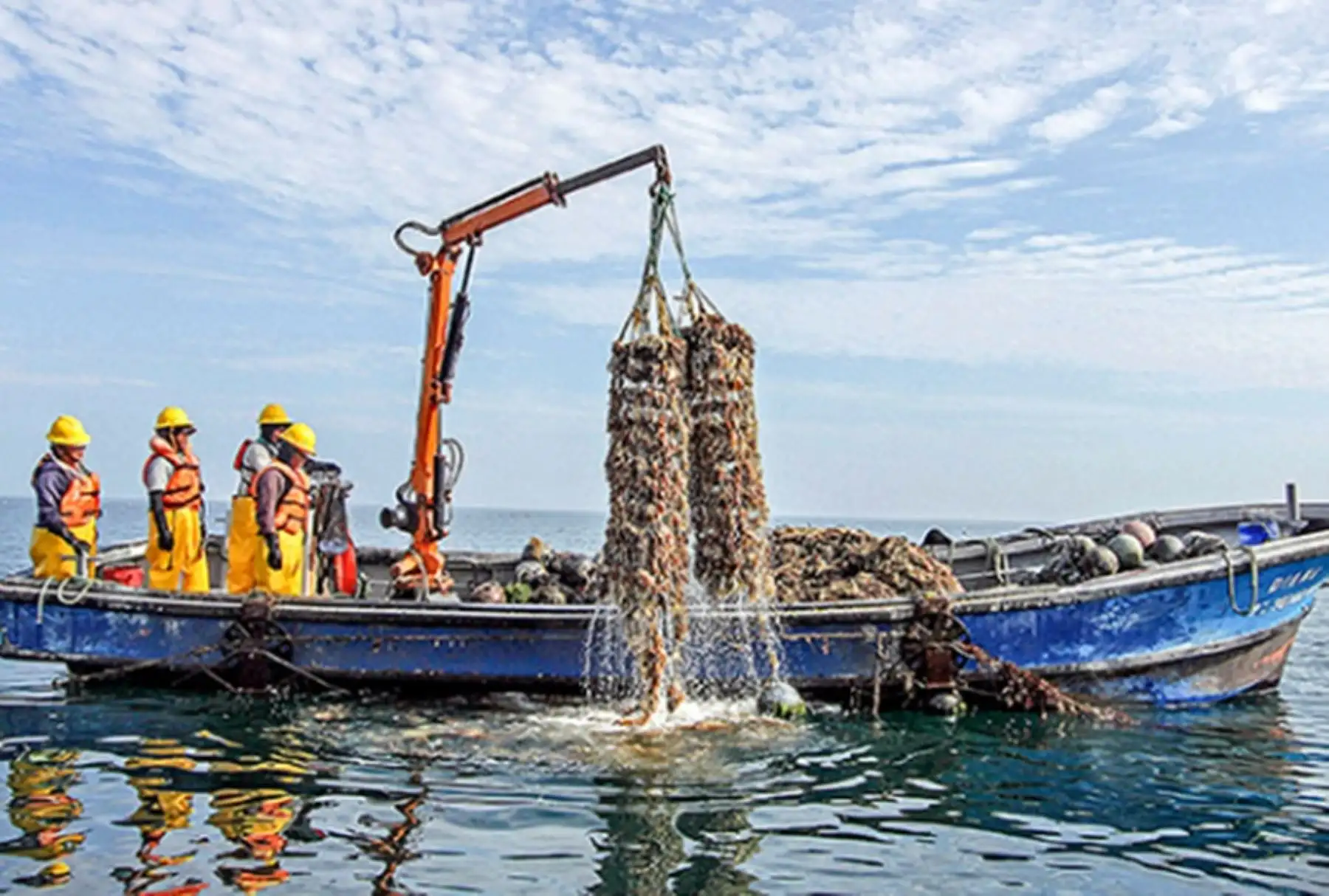 Gobierno aprueba régimen excepcional para pago de multas en Pesca y Acuicultura