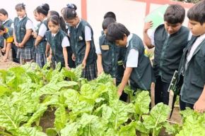 Especialistas capacitaron a escolares y maestros en manejo y mejoramiento de biohuertos. Foto: PAE/Difusión.