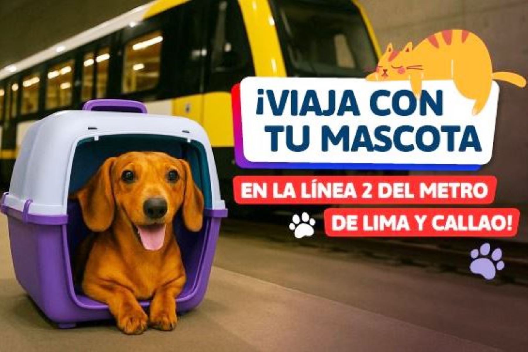 Día del Perro: ¿Sabías que puedes viajar con tu mascota en la Línea 2 del Metro?