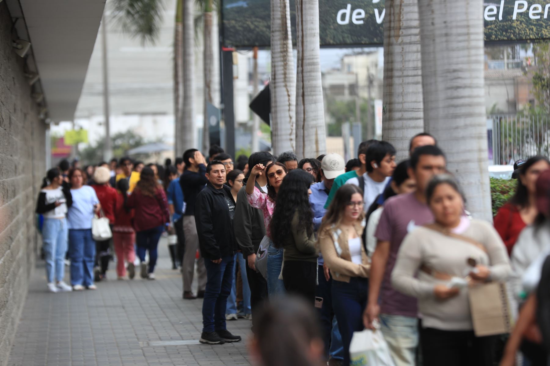 Los visitantes a la Feria Internacional del Libro de Lima pueden trasladarse al recinto ferial en buses gratuitos desde los paraderos ubicados en la calle Sacramento, en el parque de la Amistad, y al costado de Sodimac, en el Jockey Plaza. Foto: ANDINA/Ricardo Cuba.