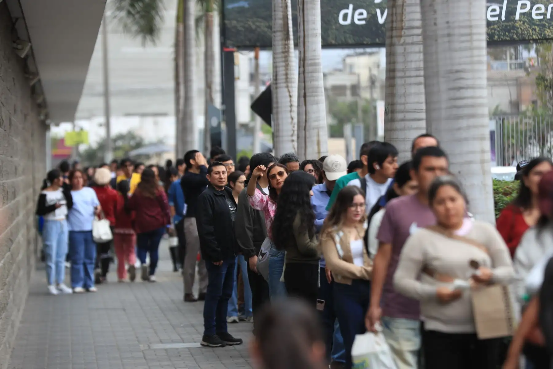 Los visitantes a la Feria Internacional del Libro de Lima pueden trasladarse al recinto ferial en buses gratuitos desde los paraderos ubicados en la calle Sacramento, en el parque de la Amistad, y al costado de Sodimac, en el Jockey Plaza. Foto: ANDINA/Ricardo Cuba.