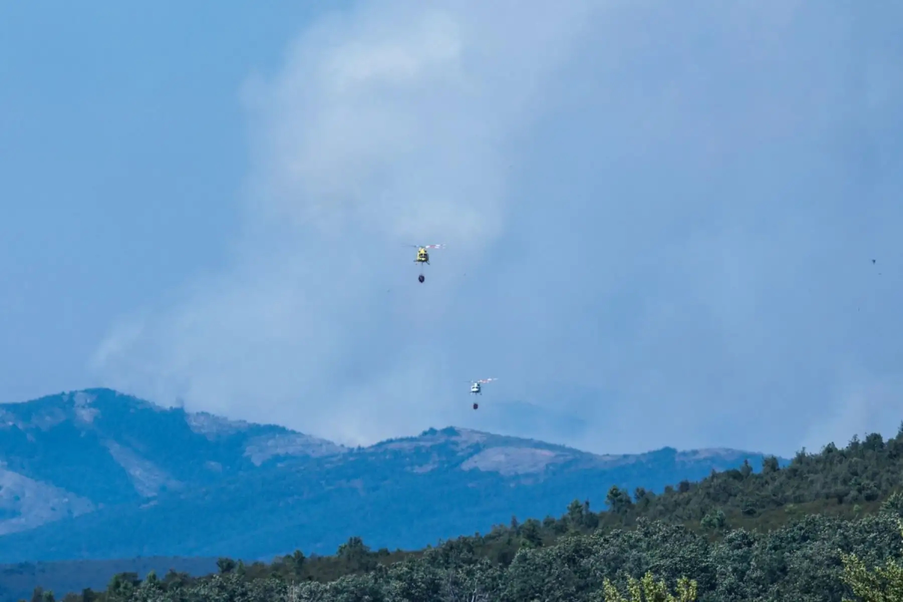 Más de 20,000 personas fueron evacuadas en Le Porge, Francia, por un incendio que afectó 4,800 hectáreas, mientras España reporta más de 10,000 evacuados en Madrid y 32,000 hectáreas arrasadas en Guadalajara. En los últimos días, al menos tres bomberos murieron durante la emergencia que golpea al sur de Europa. Foto: ANDINA/AFP.