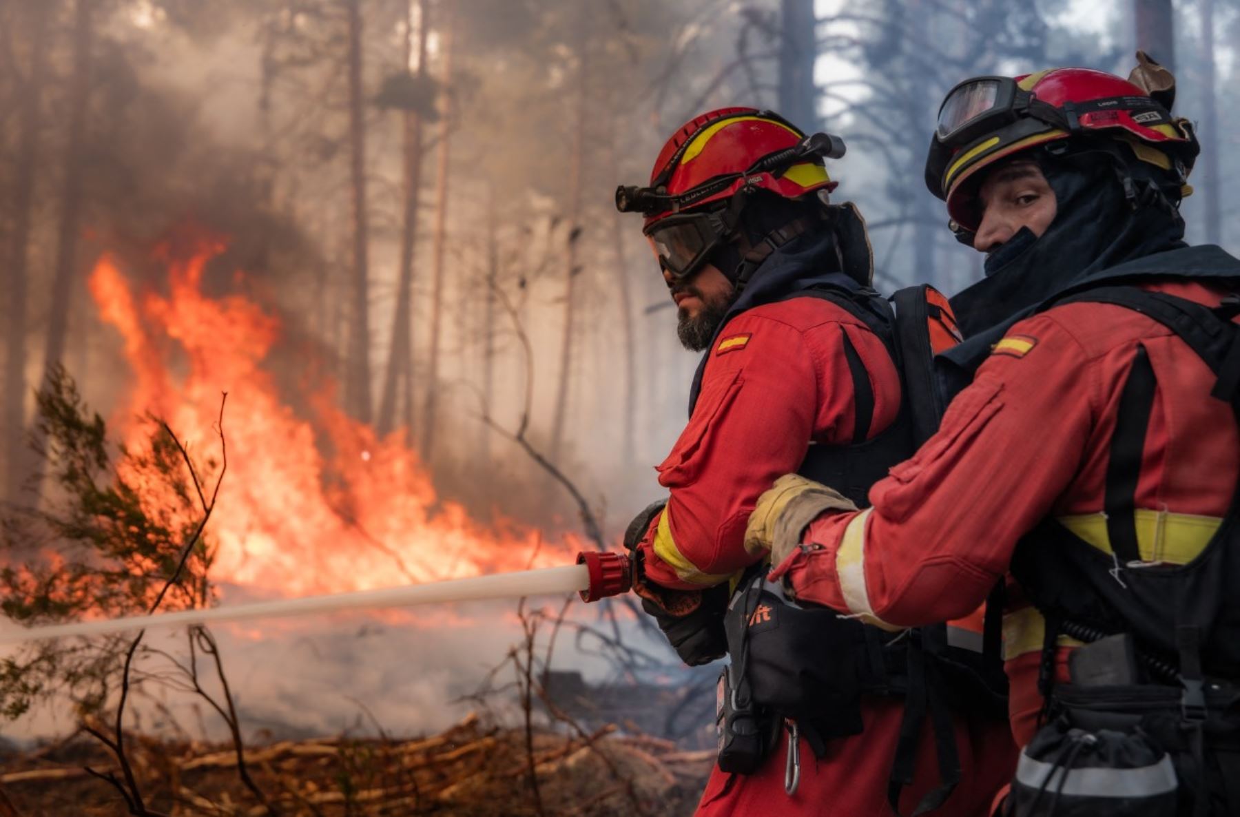 Más de 20,000 personas fueron evacuadas en Le Porge, Francia, por un incendio que afectó 4,800 hectáreas, mientras España reporta más de 10,000 evacuados en Madrid y 32,000 hectáreas arrasadas en Guadalajara. En los últimos días, al menos tres bomberos murieron durante la emergencia que golpea al sur de Europa. Foto: ANDINA/AFP.