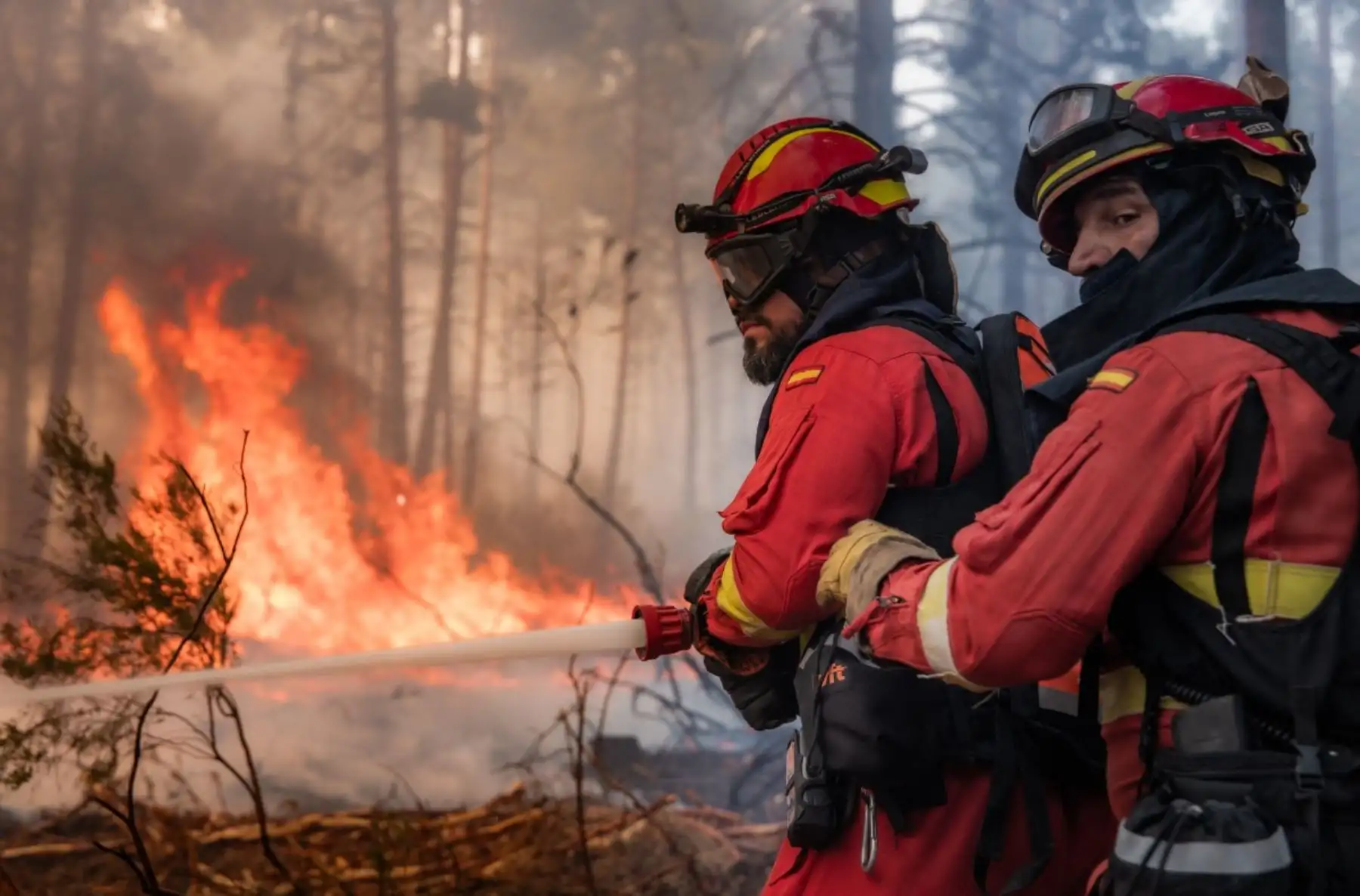 Más de 20,000 personas fueron evacuadas en Le Porge, Francia, por un incendio que afectó 4,800 hectáreas, mientras España reporta más de 10,000 evacuados en Madrid y 32,000 hectáreas arrasadas en Guadalajara. En los últimos días, al menos tres bomberos murieron durante la emergencia que golpea al sur de Europa. Foto: ANDINA/AFP.