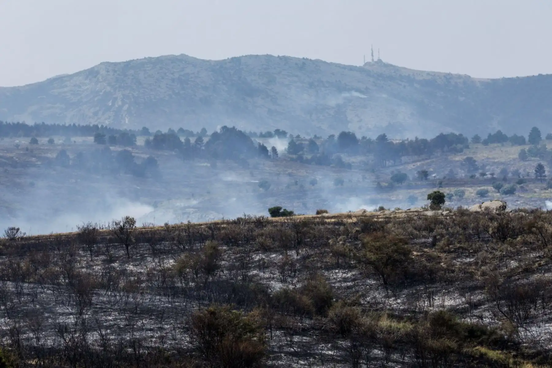 Más de 20,000 personas fueron evacuadas en Le Porge, Francia, por un incendio que afectó 4,800 hectáreas, mientras España reporta más de 10,000 evacuados en Madrid y 32,000 hectáreas arrasadas en Guadalajara. En los últimos días, al menos tres bomberos murieron durante la emergencia que golpea al sur de Europa. Foto: ANDINA/AFP.
