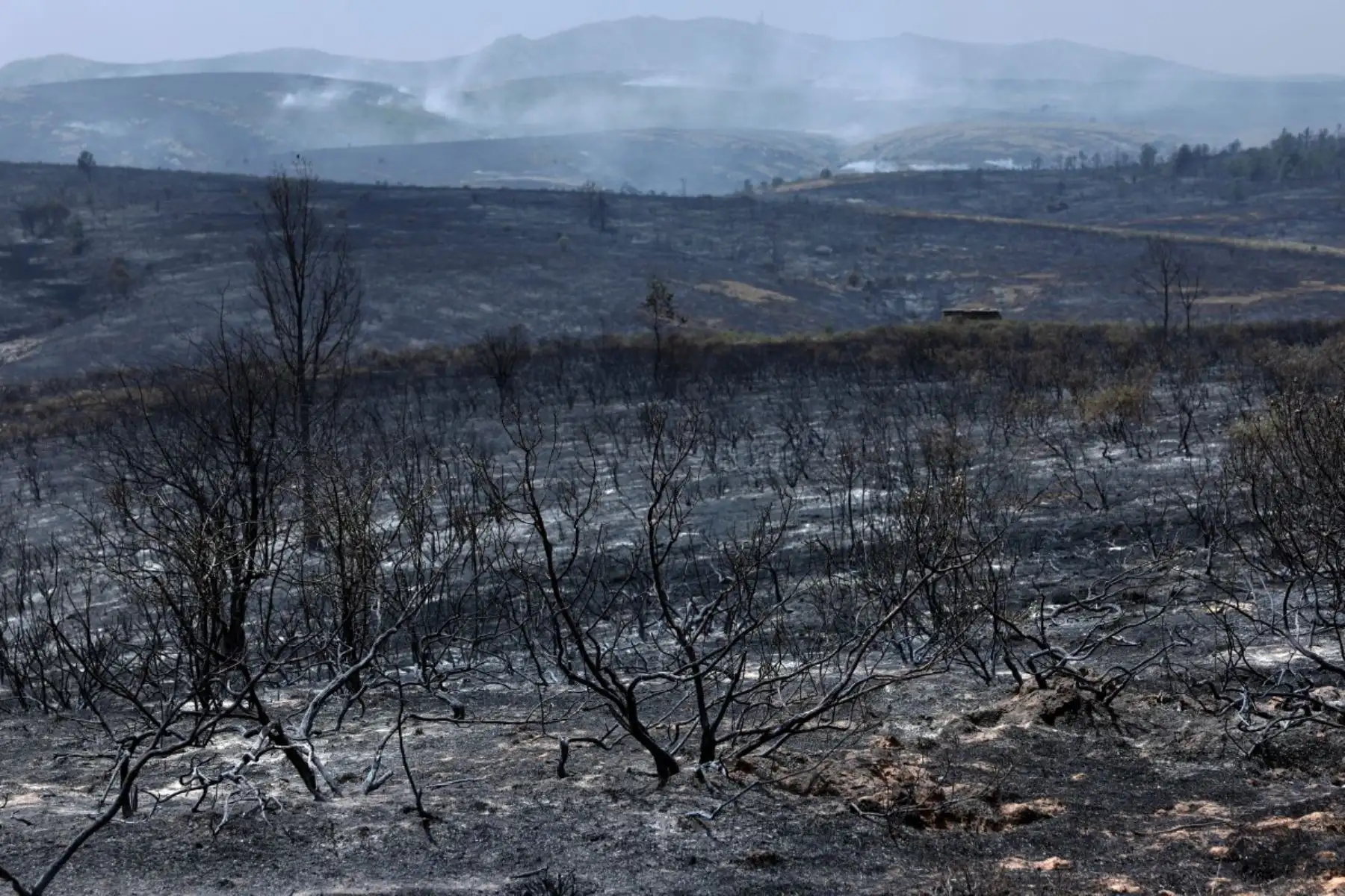 Más de 20,000 personas fueron evacuadas en Le Porge, Francia, por un incendio que afectó 4,800 hectáreas, mientras España reporta más de 10,000 evacuados en Madrid y 32,000 hectáreas arrasadas en Guadalajara. En los últimos días, al menos tres bomberos murieron durante la emergencia que golpea al sur de Europa. Foto: ANDINA/AFP.