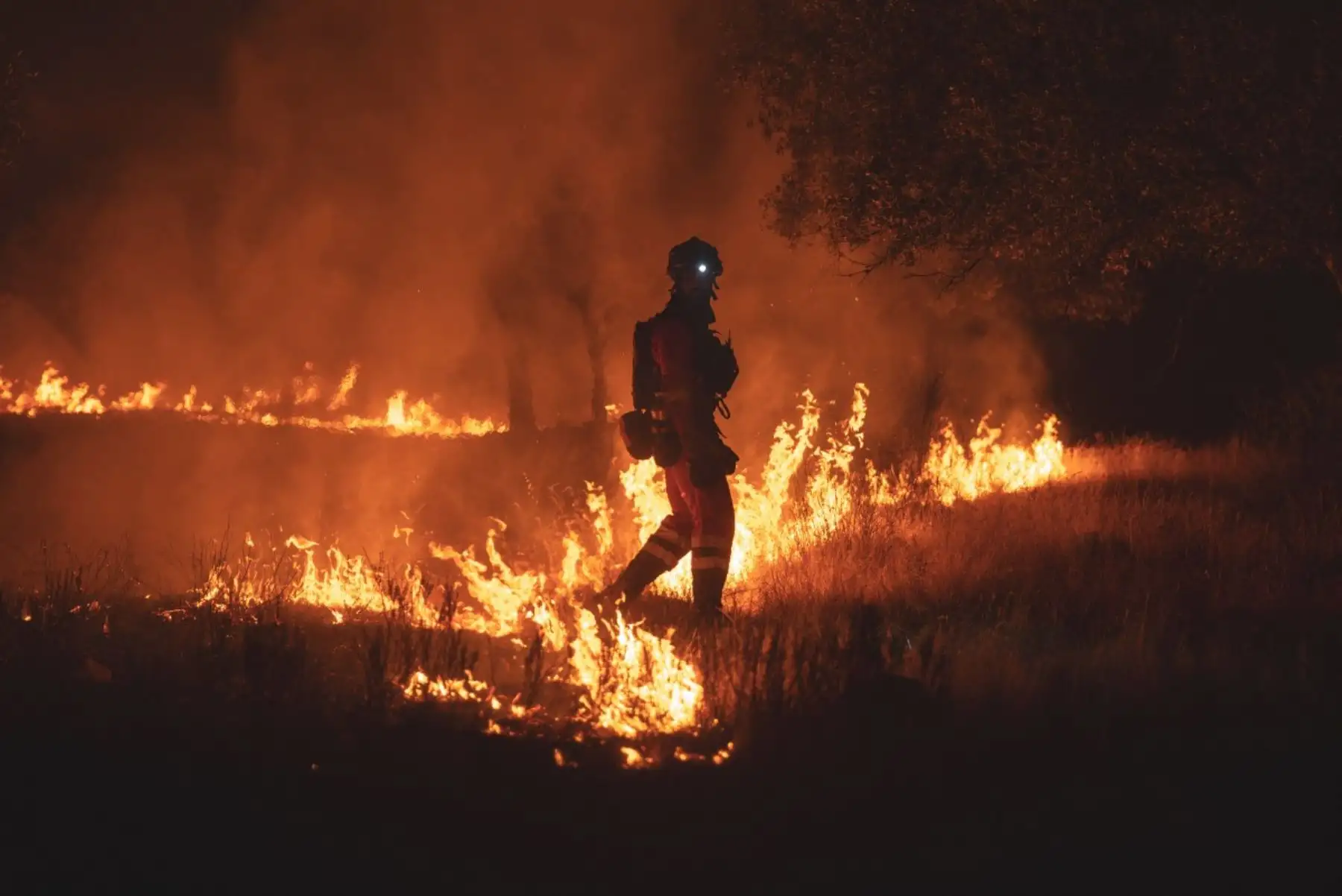 Más de 20,000 personas fueron evacuadas en Le Porge, Francia, por un incendio que afectó 4,800 hectáreas, mientras España reporta más de 10,000 evacuados en Madrid y 32,000 hectáreas arrasadas en Guadalajara. En los últimos días, al menos tres bomberos murieron durante la emergencia que golpea al sur de Europa. Foto: ANDINA/AFP.