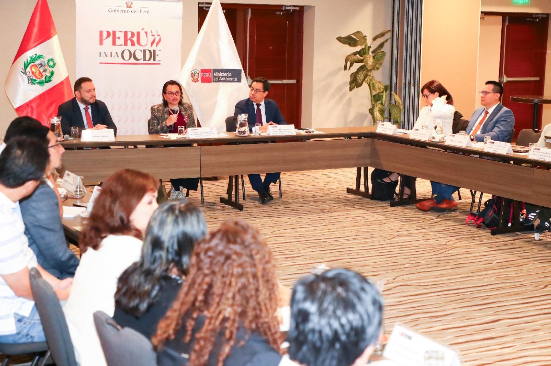 Perú busca avanzar en cumplimiento de estándares ambientales de la OCDE