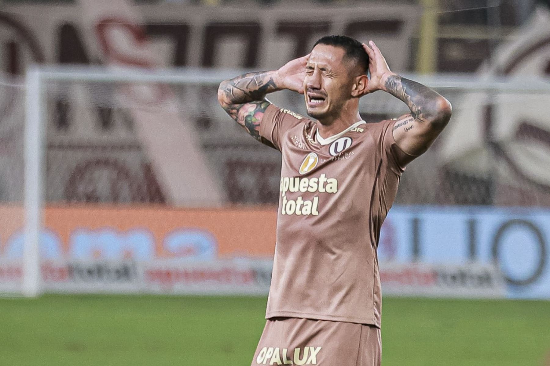 Universitario de Deportes derrotó 2-1 a Cusco FC en el Estadio Monumental por la segunda fecha del Torneo Clausura. Los goles cremas fueron anotados por Alex Valera y Gianluca Lapadula, quien marcó su primer gol con la camiseta crema. Foto: Liga 1