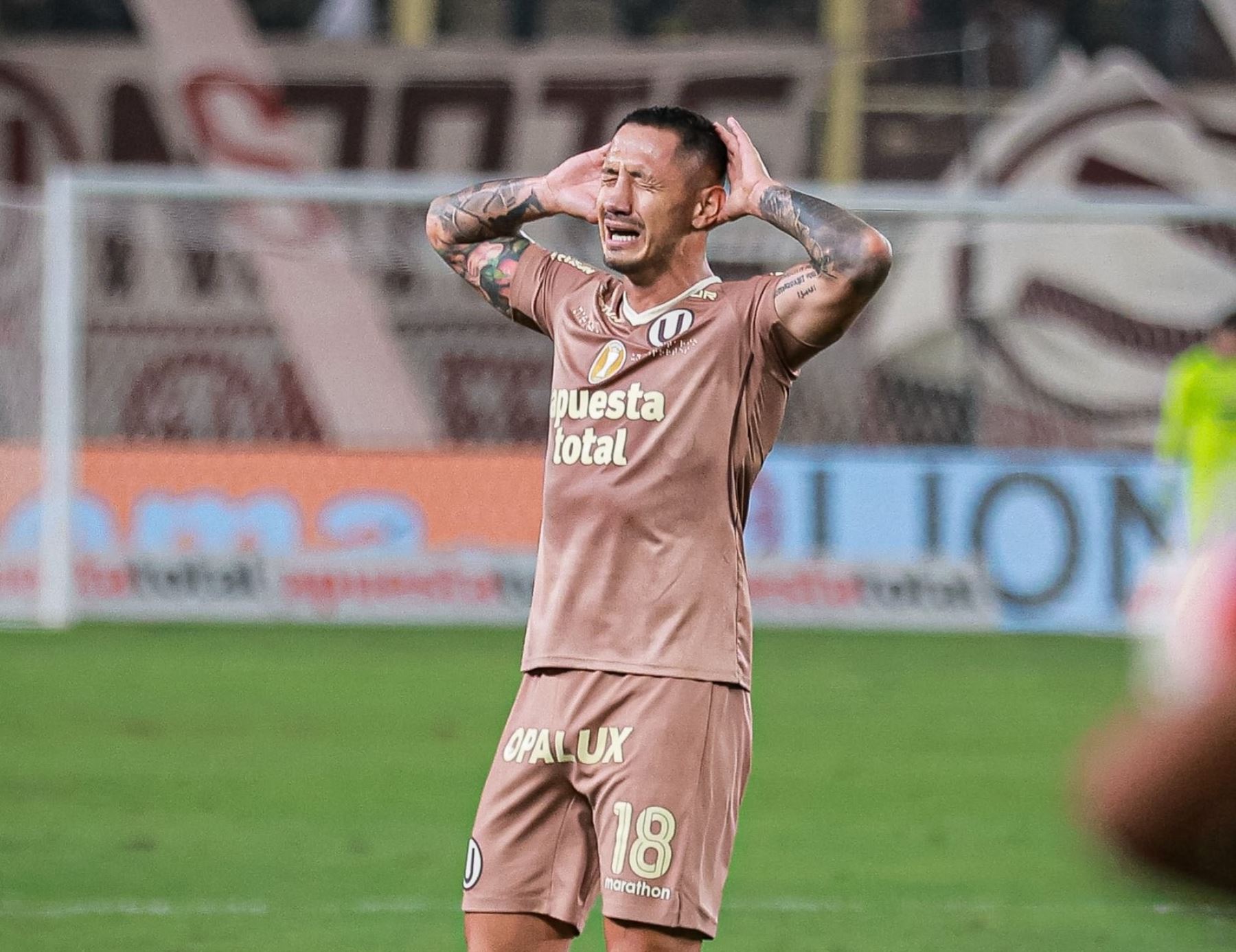 Gianluca Lapadula:  "Yo le pedí a mi familia hacer un esfuerzo increíble, vine a ganar"