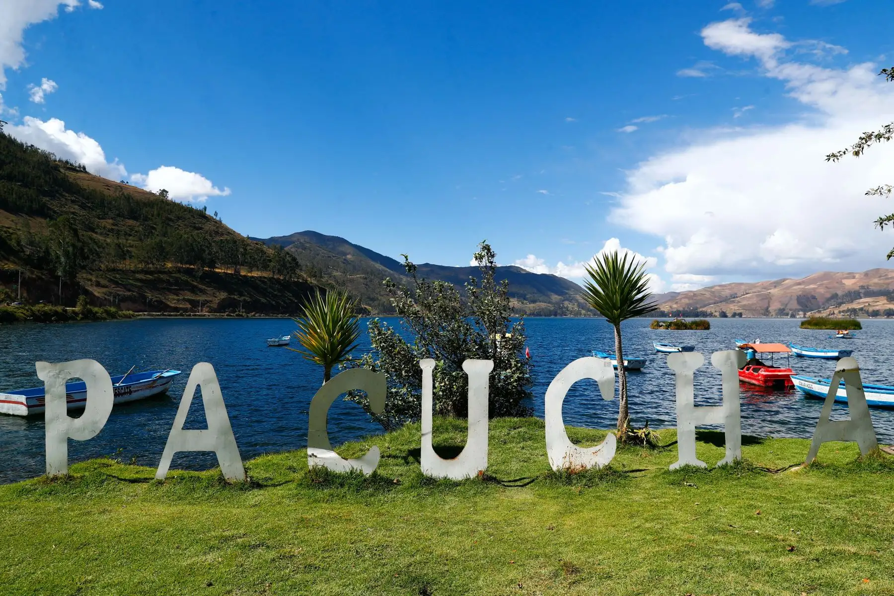 La laguna Pacucha de Apurímac es uno de los principales atractivos de la región. Muchos turistas suelen pasear por la laguna en bote, apreciar el paisaje y la fauna silvestre que ahí habita, y de paso disfrutar de la gastronomía del lugar y visitar el sitio arqueológico de Sóndor que se ubica muy cerca. Foto: ANDINA/Daniel Bracamonte