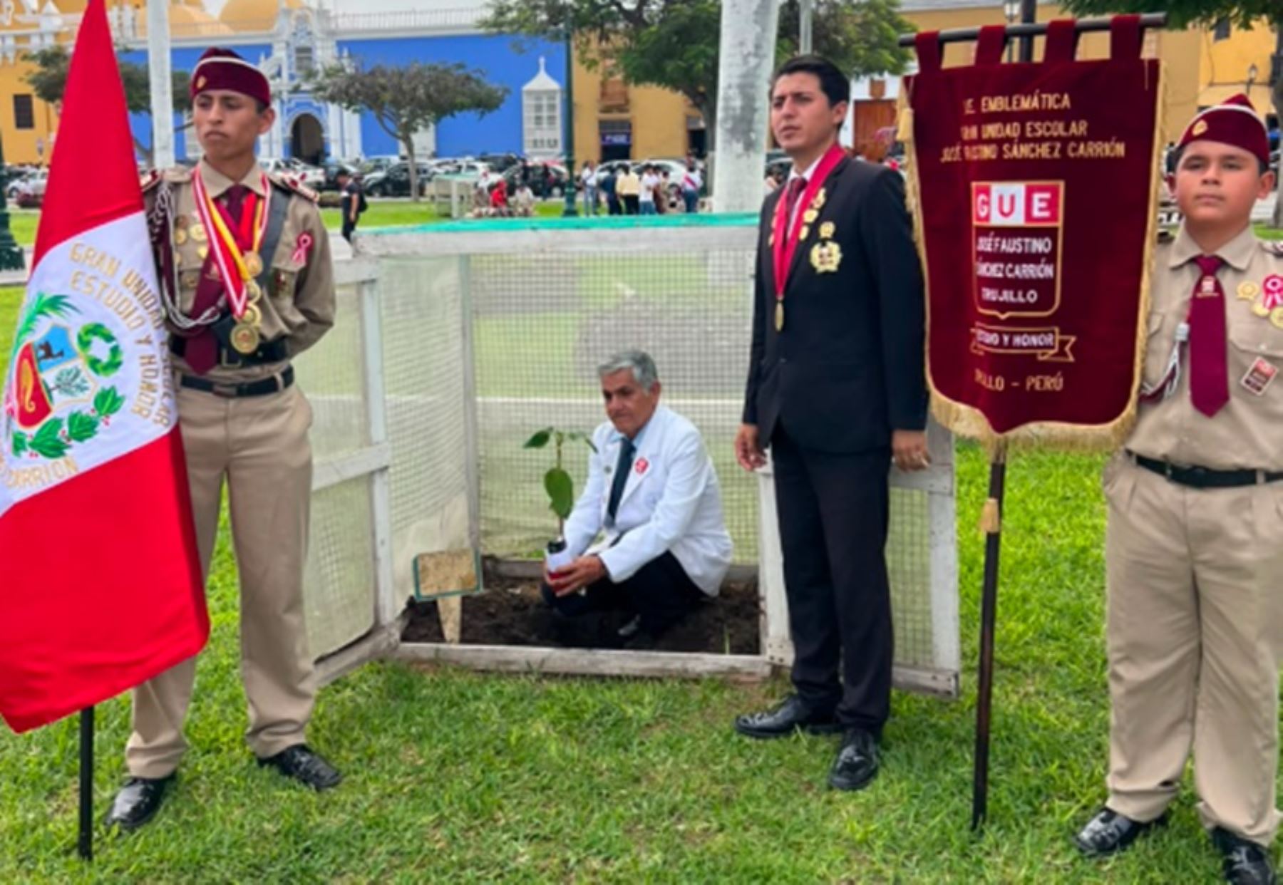 Trujillo: siembran tres nuevas especies de árbol de la quina en la Plaza de Armas