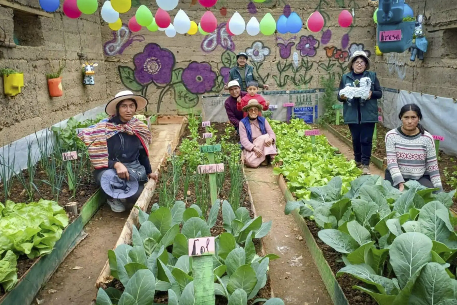 El Ministerio de Desarrollo Agrario y Riego (Midagri), a través de Agro Rural, culminó la entrega de 2,500 kits de aplicación foliar en 14 regiones del país, como parte del Plan Multisectorial ante Heladas y Friaje (PMHF) 2026. La intervención busca fortalecer el estado nutricional de los cultivos, mejorar su resistencia y contribuir a su recuperación frente a las bajas temperaturas. Foto: Midagri