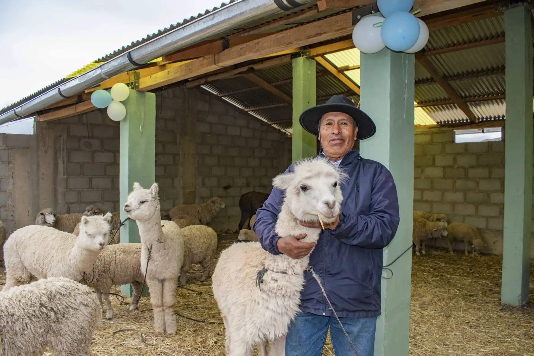 El Ministerio de Desarrollo Agrario y Riego (Midagri), a través de Agro Rural, culminó la entrega de 2,500 kits de aplicación foliar en 14 regiones del país, como parte del Plan Multisectorial ante Heladas y Friaje (PMHF) 2026. La intervención busca fortalecer el estado nutricional de los cultivos, mejorar su resistencia y contribuir a su recuperación frente a las bajas temperaturas. Foto: Midagri