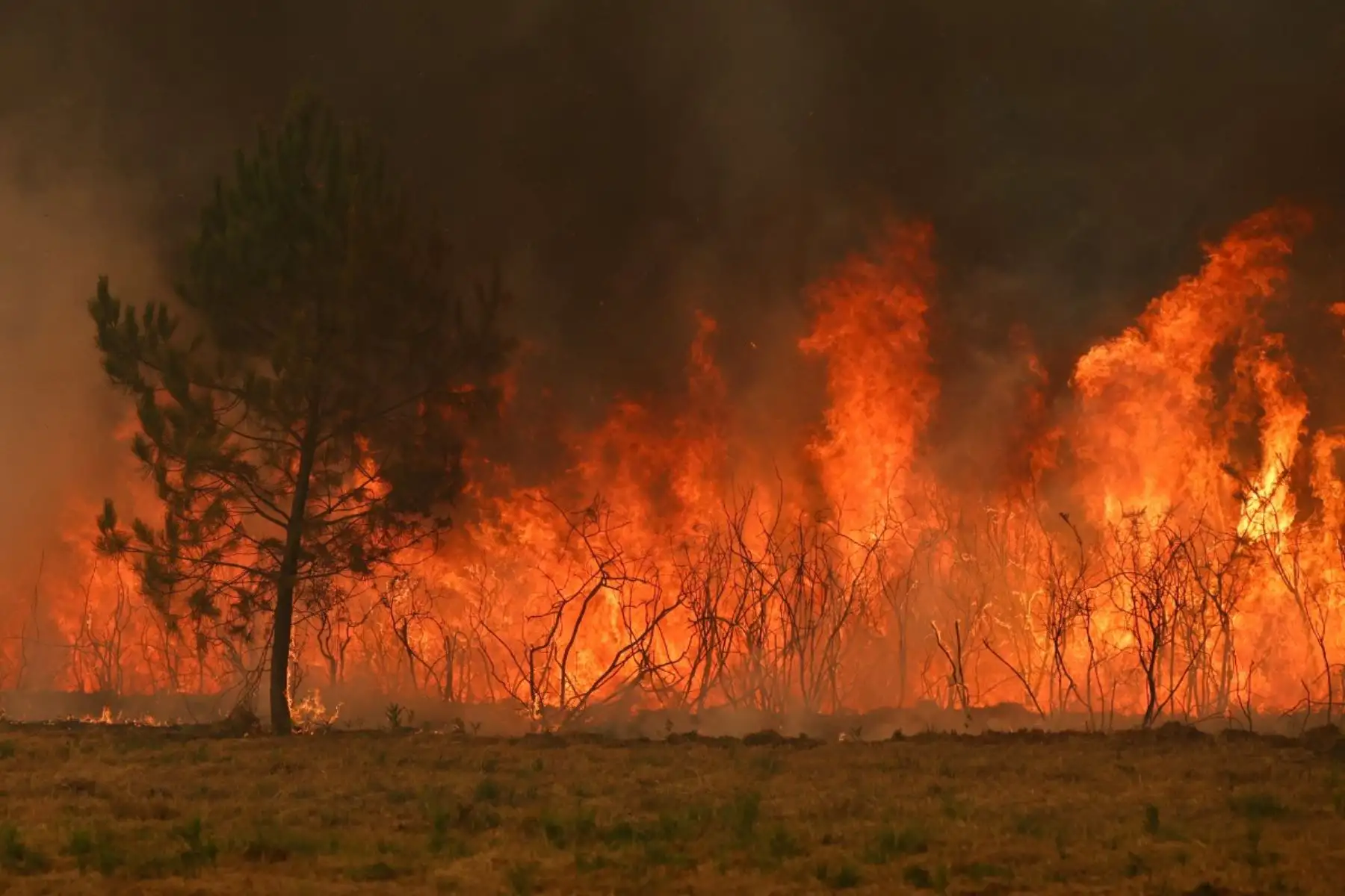 Se observa una zona boscosa envuelta en llamas en Marcheprime, al oeste de Burdeos, Francia, el 26 de julio de 2026, mientras un incendio forestal arrasa el bosque al norte de la cuenca de Arcachon (Gironda) desde el 22 de julio. Foto: AFP