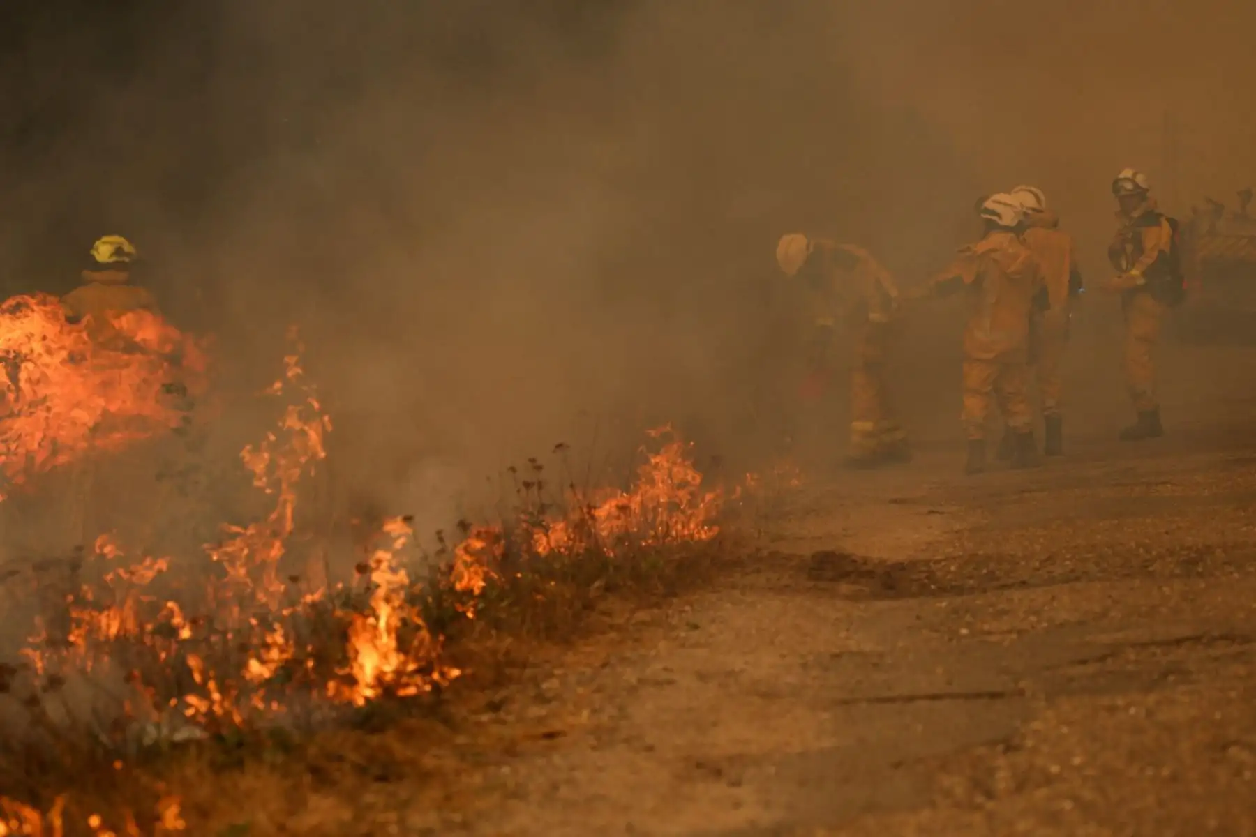 Bomberos intentan controlar el fuego en medio de un incendio forestal en Marcheprime, al oeste de Burdeos, Francia, el 26 de julio de 2026. El incendio ha estado arrasando el bosque al norte de la cuenca de Arcachon (Gironda) desde el 22 de julio. Foto: AFP