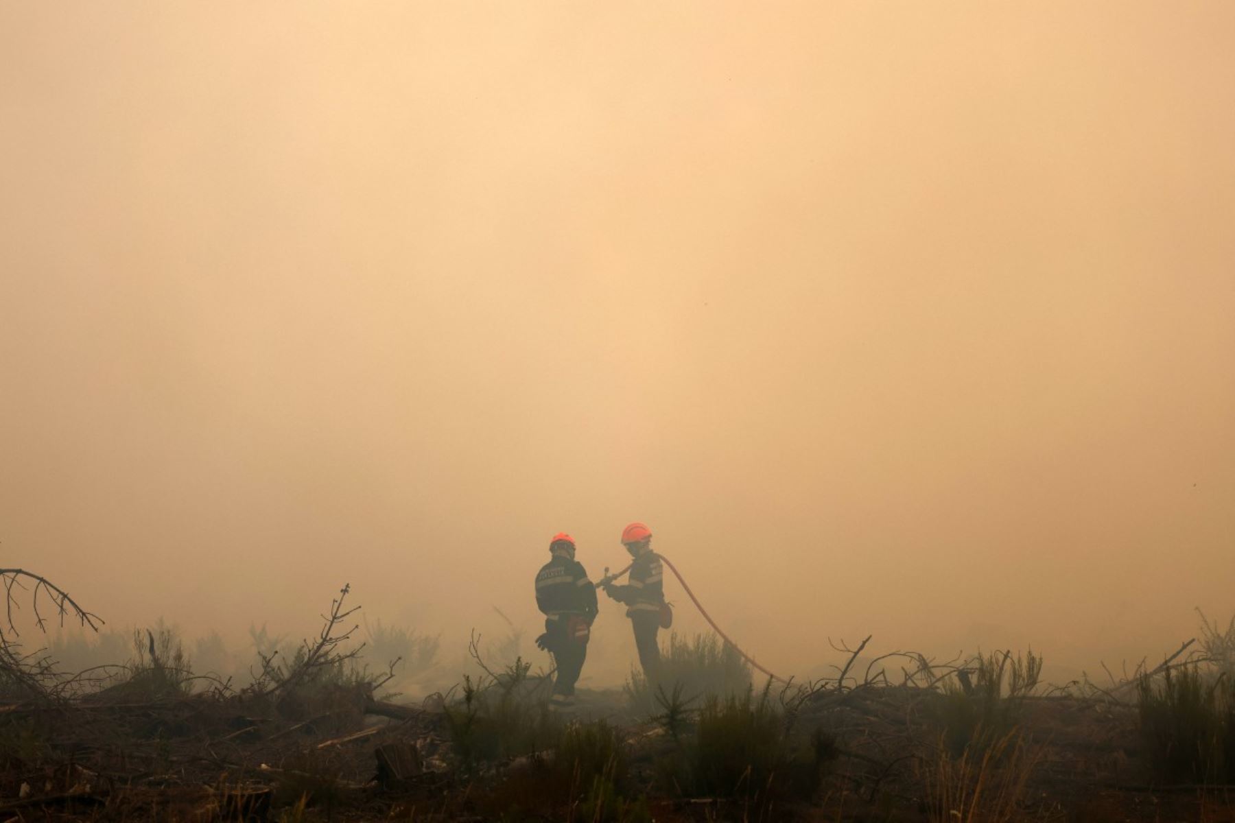 Bomberos de Marsella realizan trabajos para controlar el fuego en Ares, Francia, el 26 de julio de 2026, mientras un incendio forestal arrasa el bosque al norte de la cuenca de Arcachón (Gironda) desde el 22 de julio. Foto: AFP