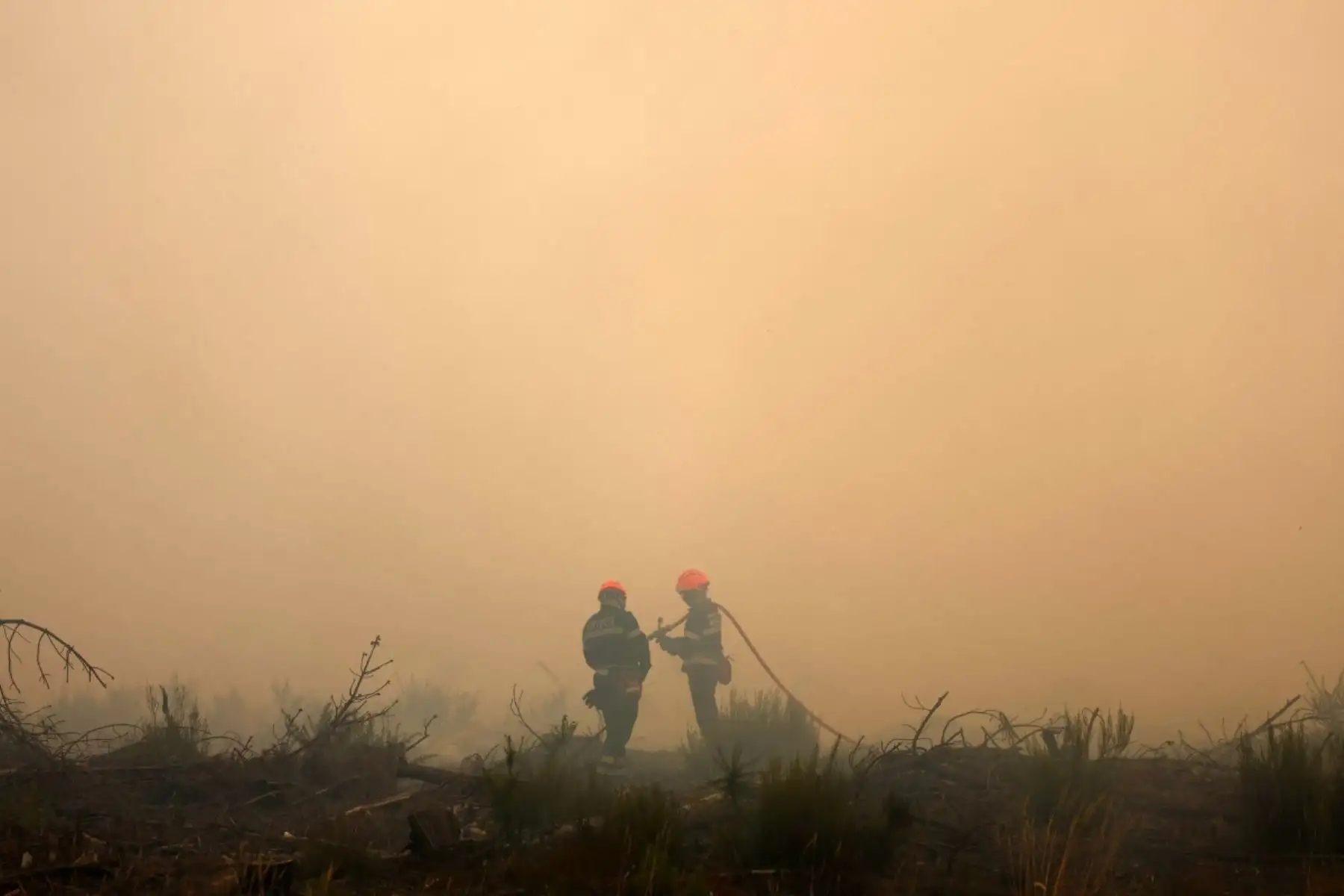Bomberos de Marsella realizan trabajos para controlar el fuego en Ares, Francia, el 26 de julio de 2026, mientras un incendio forestal arrasa el bosque al norte de la cuenca de Arcachón (Gironda) desde el 22 de julio. Foto: AFP