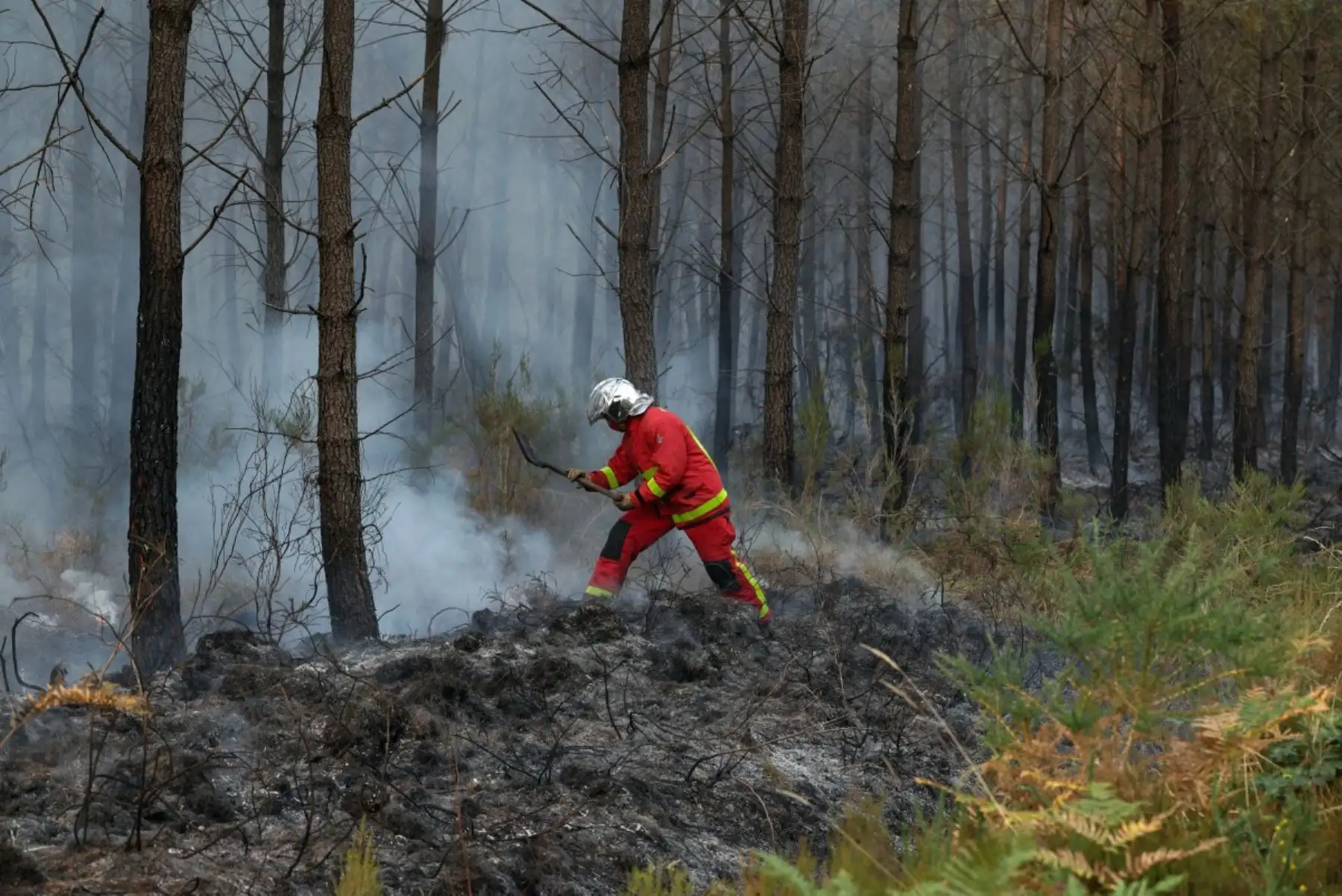 Un bombero del Cuerpo de Bomberos de París golpea con una pala restos humeantes en Marcheprime, al oeste de Burdeos, Francia, el 26 de julio de 2026, mientras un incendio forestal arrasa el bosque al norte de la cuenca de Arcachon (Gironda) desde el 22 de julio. Foto: AFP