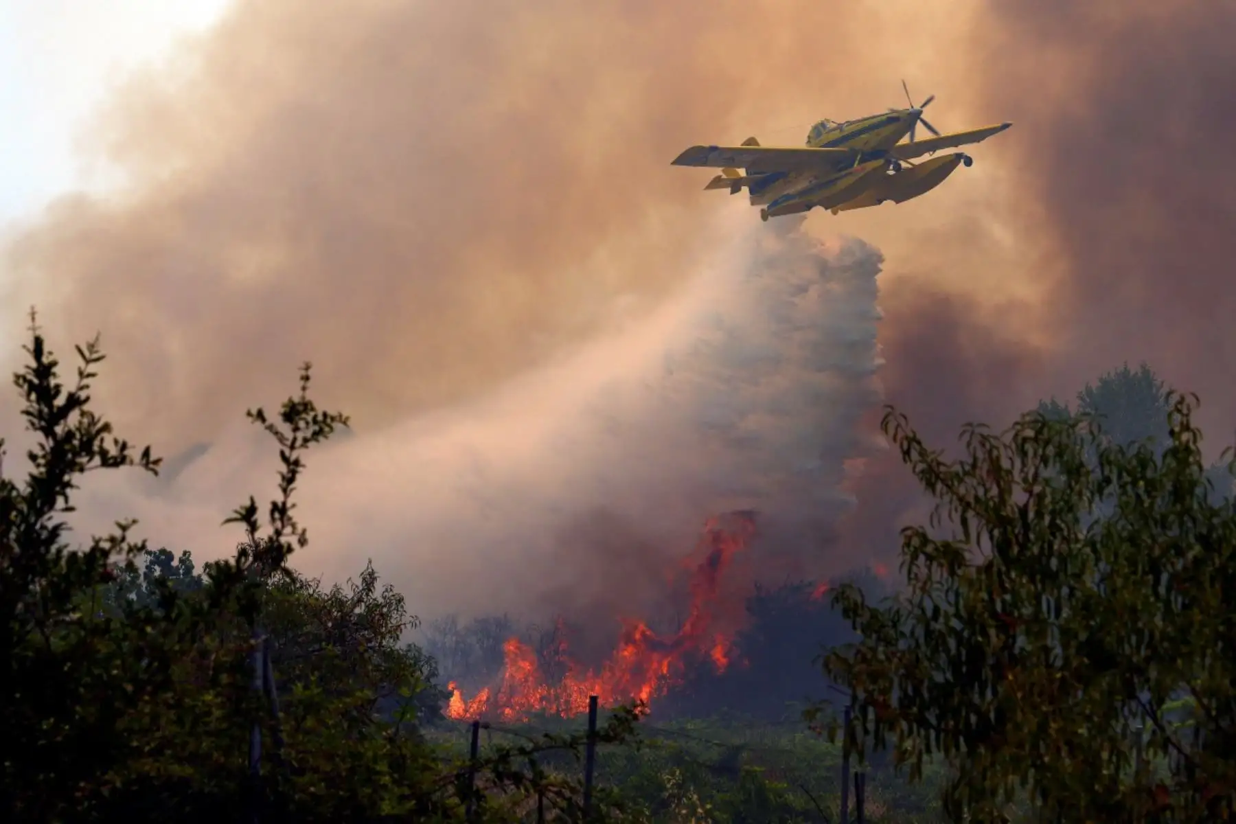 Un avión Air Tractor AT-802F Fire Boss descarga agua sobre un incendio forestal cerca de San Martín de Valdeiglesias en España el 26 de julio de 2026. Los bomberos españoles combatieron un nuevo frente de incendios cerca de la ciudad costera de Valencia, donde se evacuó a al menos 15,000 personas. Foto: AFP