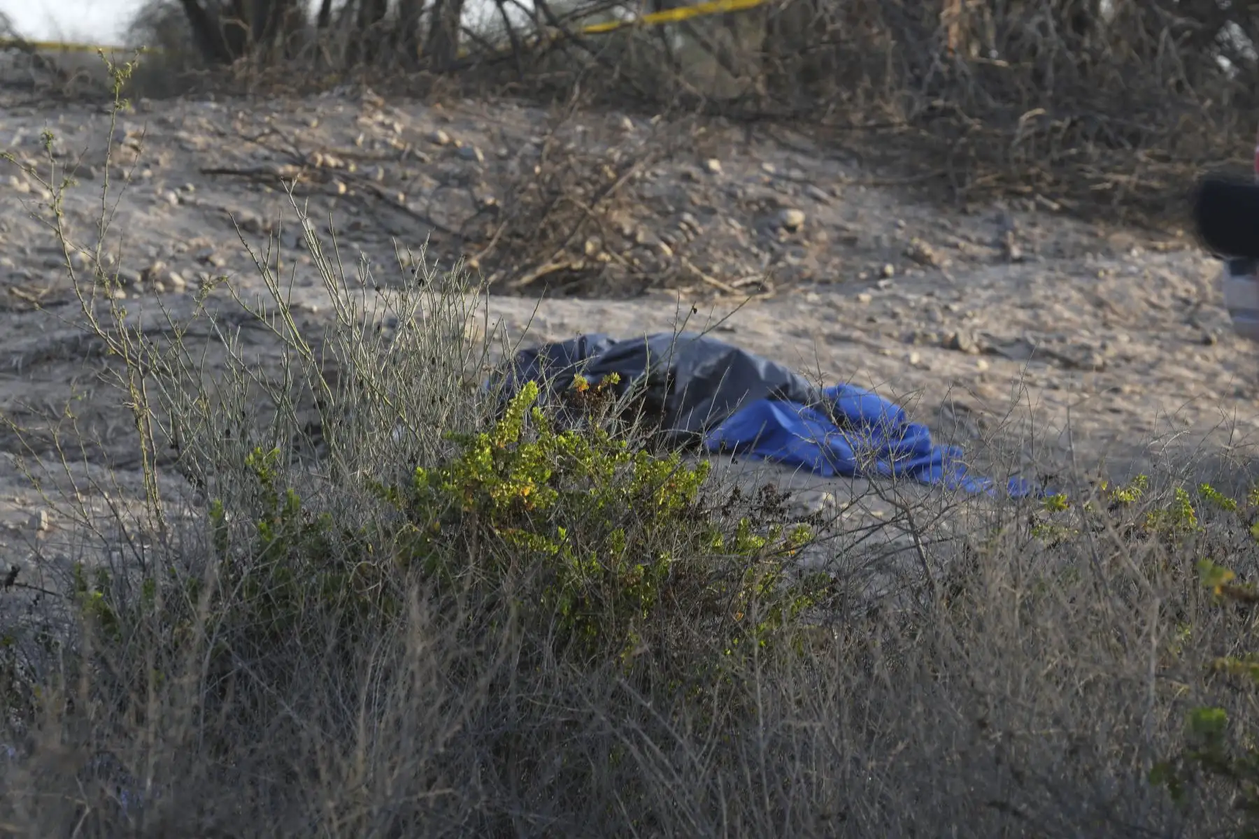 Un trágico accidente aéreo dejó un saldo de trece muertos en la región Ica. Una avioneta de la compañía Aerodiana se precipitó a tierra en las inmediaciones del sector de Pueblo Viejo, en Nasca. A bordo viajaban dos tripulantes y once turistas extranjeros: siete de nacionalidad italiana, dos españoles y dos alemanes. Todos los ocupantes perdieron la vida en el impacto. Foto: ANDINA/Genry Bautista