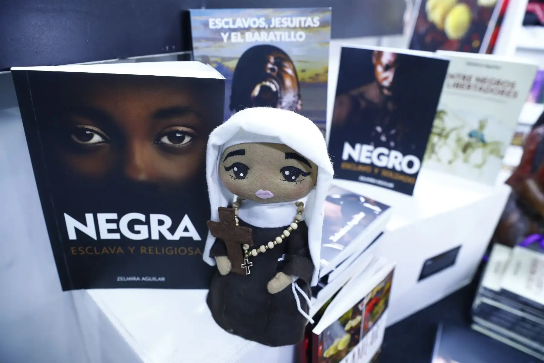 La Feria Internacional del Libro de Lima 2026 ofrece al público asistente una variada oferta de obras sobre la cultura afroperuana, tanto en narrativa, poesía, ensayo e investigaciones académicas, las cuales se pueden encontrar en algunos stands de la feria tales como Editorial Cedet, Zelmira Aguilar Literatura Afroperuana, Instituto de Estudios Peruanos IEP y La Independiente. Foto: ANDINA/Daniel Bracamonte