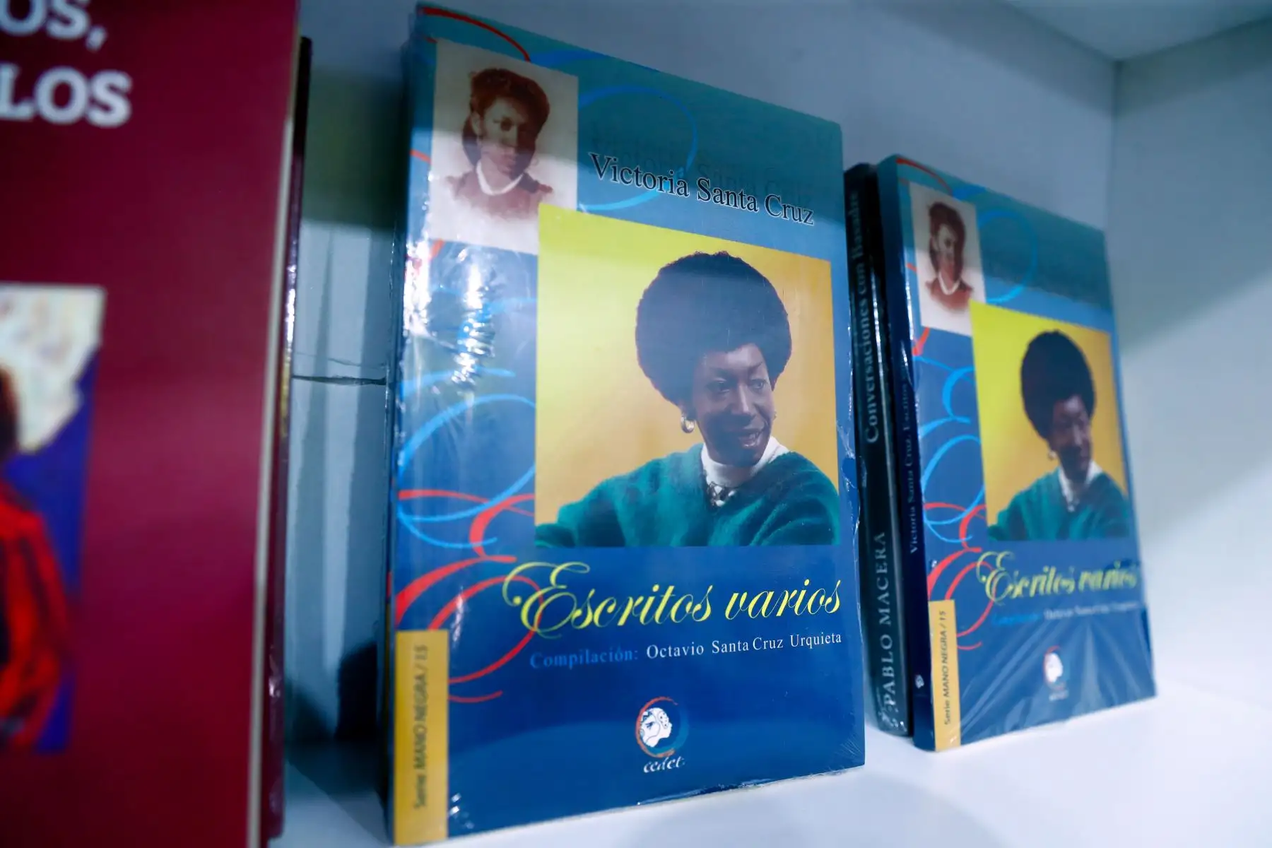 La Feria Internacional del Libro de Lima 2026 ofrece al público asistente una variada oferta de obras sobre la cultura afroperuana, tanto en narrativa, poesía, ensayo e investigaciones académicas, las cuales se pueden encontrar en algunos stands de la feria tales como Editorial Cedet, Zelmira Aguilar Literatura Afroperuana, Instituto de Estudios Peruanos IEP y La Independiente. Foto: ANDINA/Daniel Bracamonte