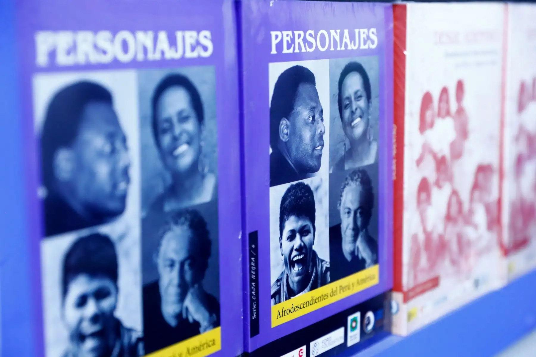 La Feria Internacional del Libro de Lima 2026 ofrece al público asistente una variada oferta de obras sobre la cultura afroperuana, tanto en narrativa, poesía, ensayo e investigaciones académicas, las cuales se pueden encontrar en algunos stands de la feria tales como Editorial Cedet, Zelmira Aguilar Literatura Afroperuana, Instituto de Estudios Peruanos IEP y La Independiente. Foto: ANDINA/Daniel Bracamonte