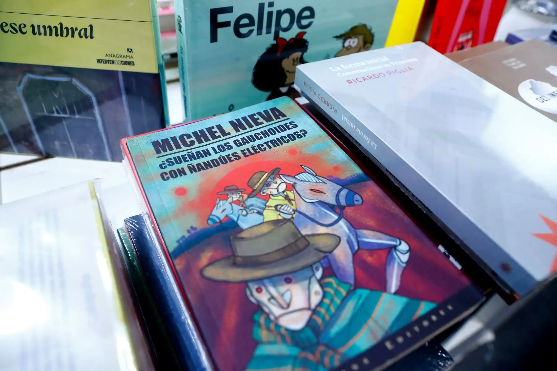 Argentina se hace presente en la Feria Internacional del Libro de Lima 2026 a través del stand de su embajada, en donde el público podrá encontrar muchos títulos y autores de su vasta producción bibliográfica, tanto en literatura como en ensayo, bibliografías, historietas, libros de historia e incluso de gastronomía argentina. Foto: ANDINA/Daniel Bracamonte