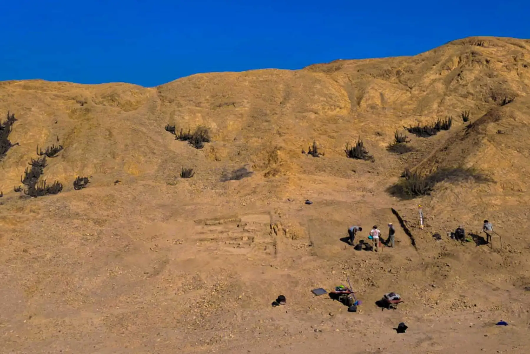 Tras casi tres décadas sin excavaciones, el Programa Arqueológico Chicama reinició los trabajos en Cerro Mayal y encontró nuevas evidencias sobre la organización de los talleres de ceramistas mochicas y los espacios donde también habitaron sus artesanos. Foto: PRACH/UNMSM