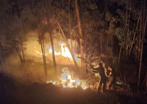 Incendios forestales se reportan en diversas regiones del país. ANDINA/Difusión